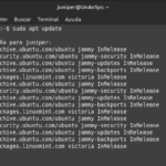 Actualizando Linux Mint desde terminal.