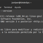 Versión de bash.